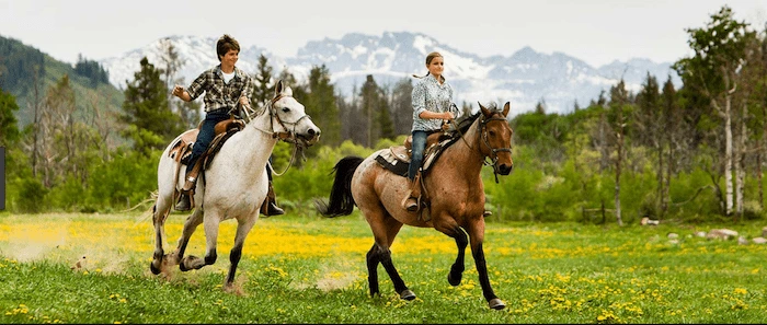 Confident plus-size woman riding Walsall Wood a horse through a field with a smile on her face.